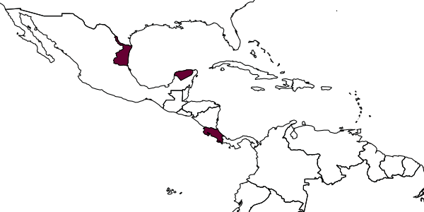 map of Meniscomorpha romata     Ugalde & Gauld, 2002